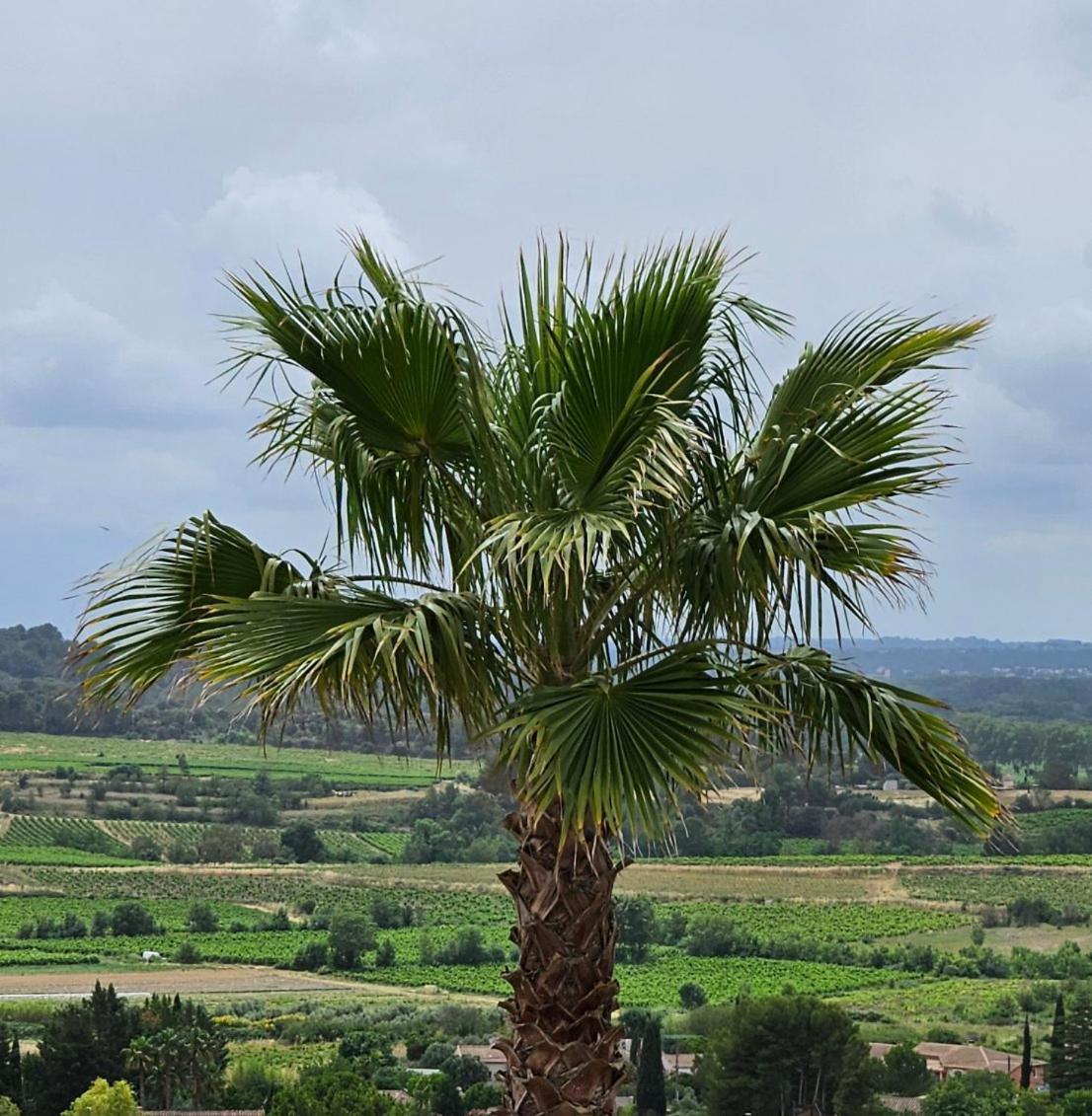 Domaine Du Chene Hotel Campagnan ภายนอก รูปภาพ